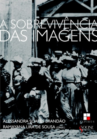 A sobrevivncia das imagens