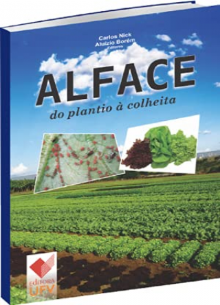 Alface do Plantio a Colheita