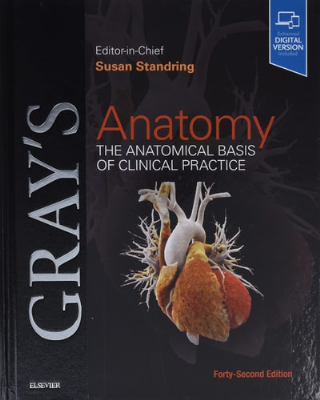 Grays Anatomy: The Anatomical Basis of Clinical Practice