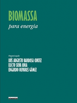 Biomassa para energia