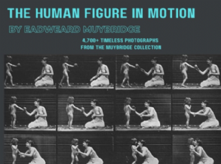 The Human Figure in Motion